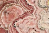 Rhodochrosite Stalactite Section - Argentina #150846-1